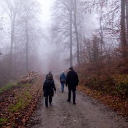 Dunkle Gestalten wandern im Nebel